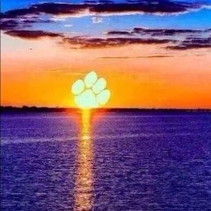 Meet your Posher, Phyllis